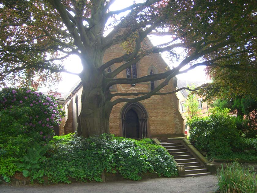Old Chapel